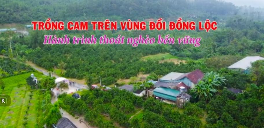 Trồng cam trên Vùng đồi Đồng Lộc- hành trình thoát nghèo bền vững