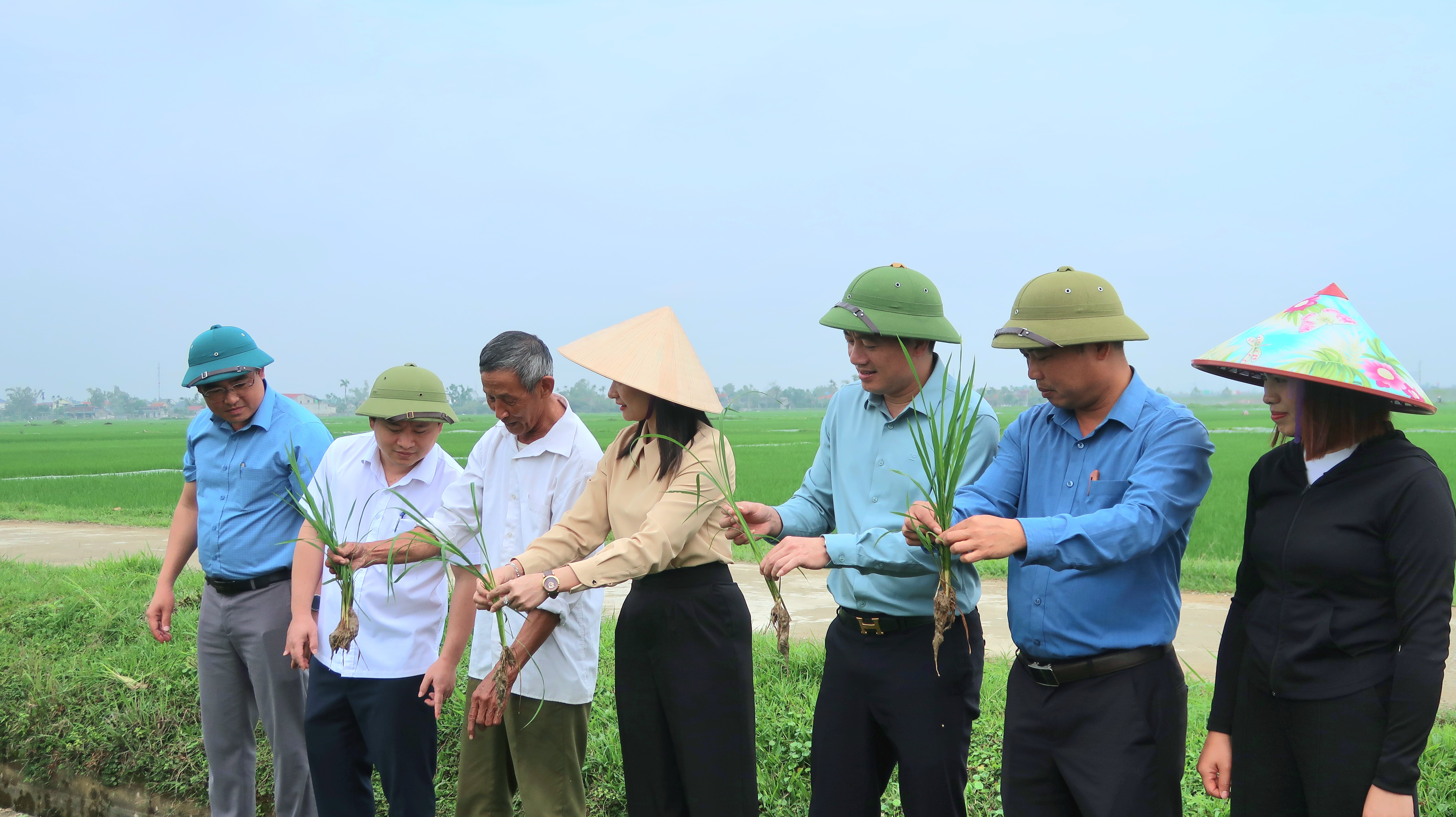 LÃNH ĐẠO XÃ ĐỒNG LỘC KIỂM TRA TÌNH HÌNH SẢN XUẤT LÚA VÀ CÁC MÔ HÌNH KINH TẾ TRÊN ĐỊA BÀN