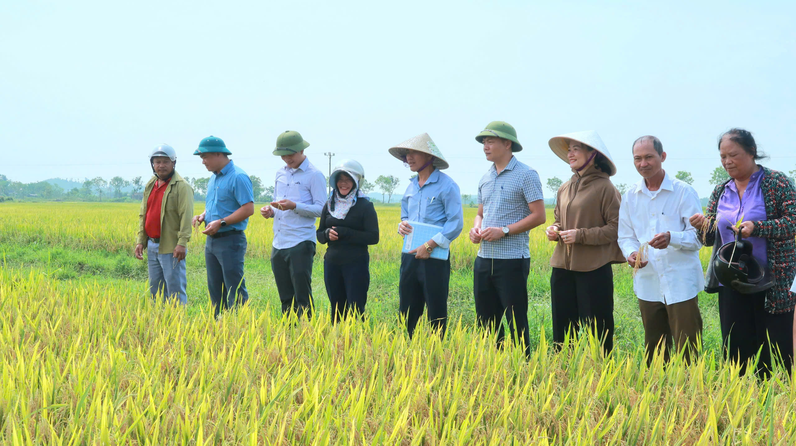 ĐỒNG LỘC TỔ CHỨC THĂM ĐỒNG ĐÁNH GIÁ NĂNG SUẤT LÚA VỤ XUÂN, TRIỂN KHAI ĐỀ ÁN SẢN XUẤT VỤ HÈ THU 2026