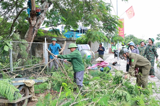 Đồng Lộc phát động ra quân cắt tỉa cây xanh, dọn vệ sinh môi trường, phát qhang hành lang lưới điện phục vụ công tác pctt năm 2026 